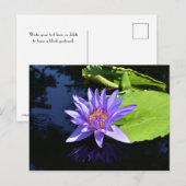 Sammelpostkarten für lila Wasserlilie Postkarte (Vorne/Hinten)