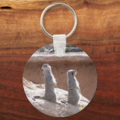 Sammelring Schlüsselanhänger (Vorderseite)