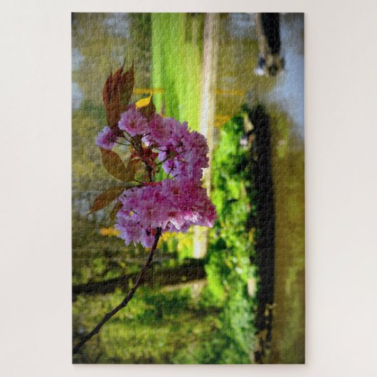 Sammelt Cherry. Puzzle (Vertikal)