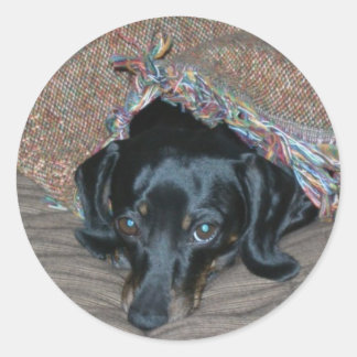 Sammi unter Wetter Runder Aufkleber