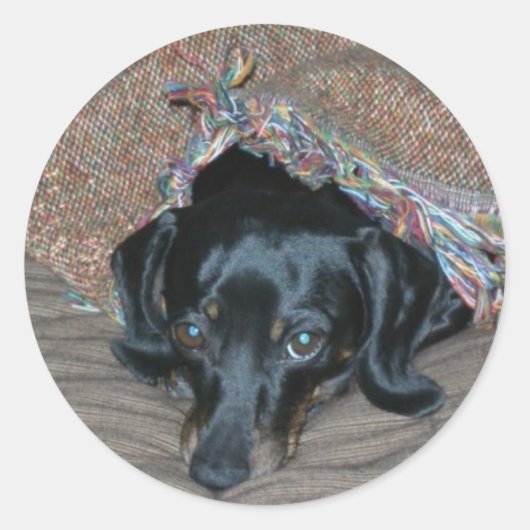 Sammi unter Wetter Runder Aufkleber (Vorderseite)