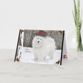 Sammie WeihnachtenCard 12x18 gefaltet Karte