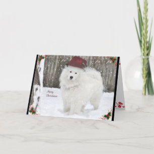Sammie WeihnachtenCard 12x18 gefaltet Karte