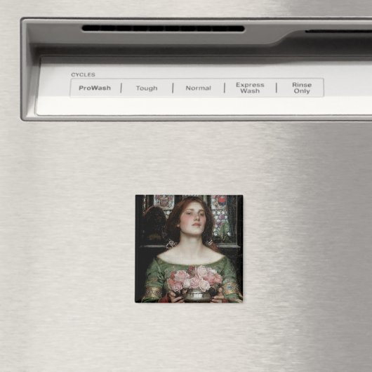 Sammle deine Rosenknospe, während du Mai bist Magnet (In Situ (Geschirrspüler))