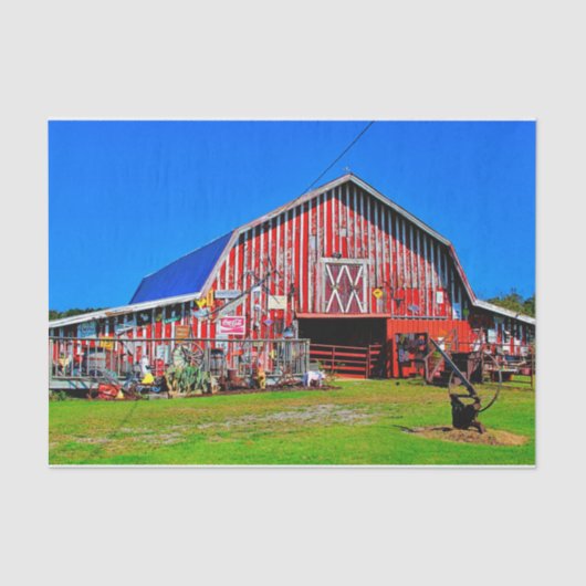 Sammlerstücke für Rotbarsche Seidenpapier (Vorderseite)