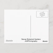 Sammlung Botanischer Garten Postkarte (Rückseite)