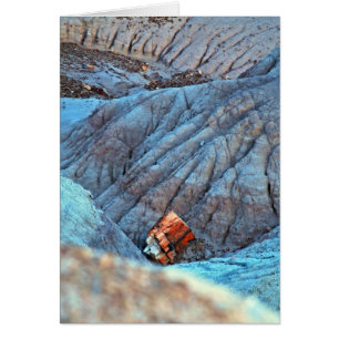 Sammlung "Broken Wood in Blue Canyon"