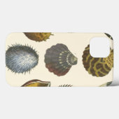 Sammlung der Konchologie Case-Mate iPhone Hülle (Rückseite (Horizontal))