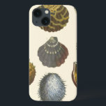 Sammlung der Konchologie iPhone 13 Hülle<br><div class="desc">Wenn Sie heute nicht an den Strand kommen, erhalten Sie dieses klassische Bild dieses einzigartigen Images von Albertus Seba! Stellen Sie sich einen Strand vor, der Meeresanemonen entdeckt, die die Natur zu bieten hat. Diese Muscheln und Pflanze am Meer sind in diesem Gemälde von warmem Sand umgeben und eignen sich...</div>