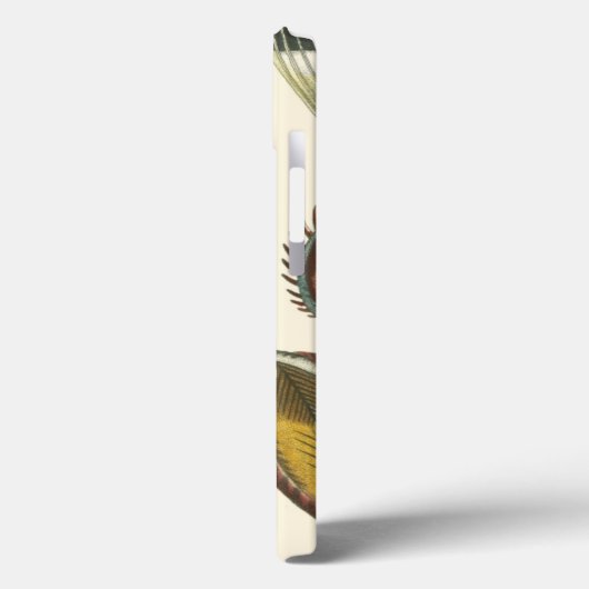 Sammlung der Konchologie Case-Mate iPhone Hülle (Rückseite / Links)