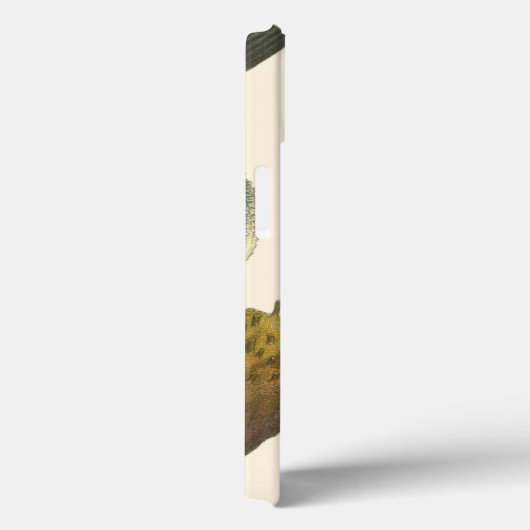 Sammlung der Konchologie Case-Mate iPhone Hülle (Rückseite / Rechts)