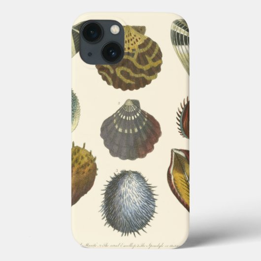 Sammlung der Konchologie Case-Mate iPhone Hülle (Rückseite)