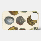 Sammlung der Konchologie Case-Mate iPhone Hülle (Rückseite (Horizontal))
