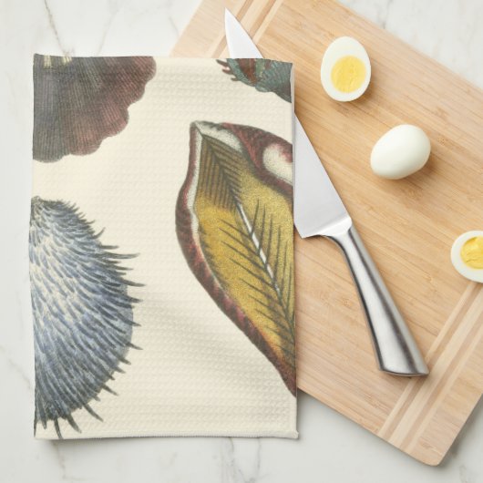 Sammlung der Konchologie Handtuch (Viertel Falte)