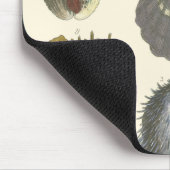 Sammlung der Konchologie Mousepad (Ecke)