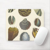 Sammlung der Konchologie Mousepad (Mit Mouse)