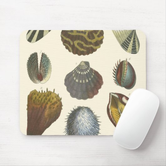 Sammlung der Konchologie Mousepad (Mit Mouse)
