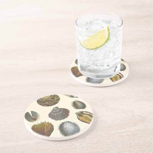 Sammlung der Konchologie Sandstein Untersetzer (Seite)