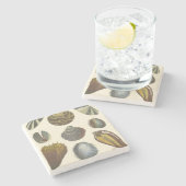 Sammlung der Konchologie Steinuntersetzer (Seitenansicht)