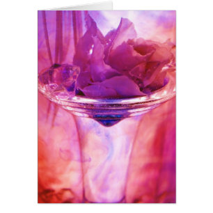 Sammlung "der lila Rose"