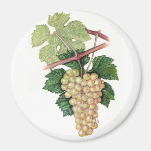 Sammlung Dionysus & Rhea Magnet