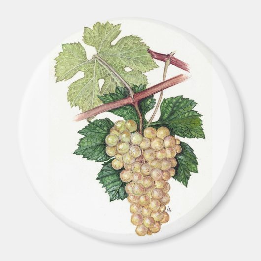 Sammlung Dionysus & Rhea Magnet (Vorne)