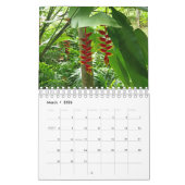 Sammlung exotischer Blume zeigt Wandkalender (Mär 2026)