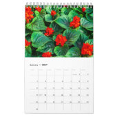 Sammlung exotischer Blume zeigt Wandkalender (Jan 2027)