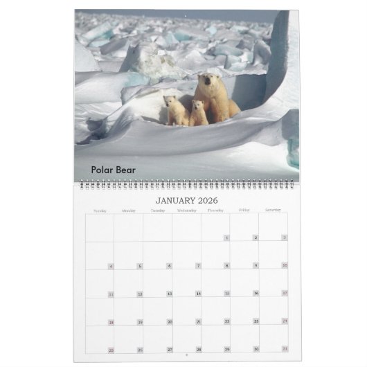 Sammlung gefährdeter Arten 12 Monate Kalender (Jan 2026)