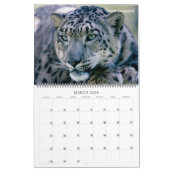Sammlung gefährdeter Arten 12 Monate Kalender (Mär 2026)