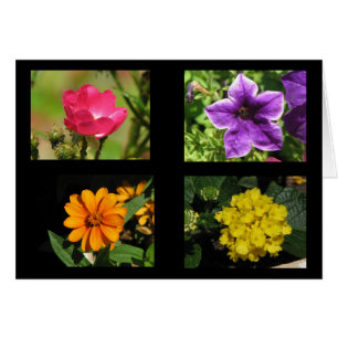 Sammlung hübscher Blume