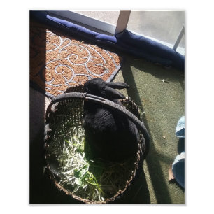 SAMMLUNG I FOTODRUCK