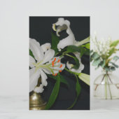 Sammlung irischer Muster und Blume Briefpapier (Stehend Vorderseite)