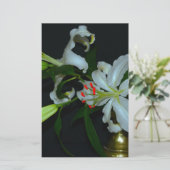 Sammlung irischer Muster und Blume Briefpapier (Stehend Vorderseite)