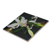 Sammlung irischer Muster und Blume Fliese (Seite)