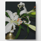 Sammlung irischer Muster und Blume Fotoplatte (Vorderseite)