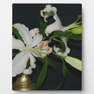 Sammlung irischer Muster und Blume Fotoplatte