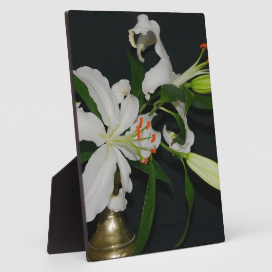 Sammlung irischer Muster und Blume Fotoplatte (Seite)