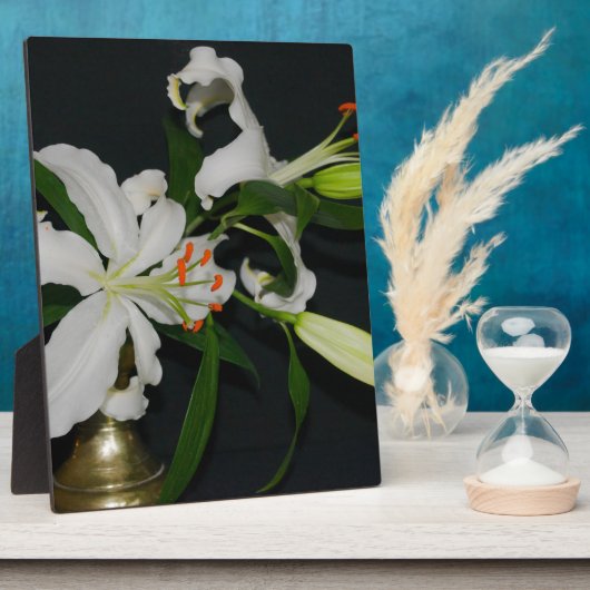 Sammlung irischer Muster und Blume Fotoplatte (Seite)