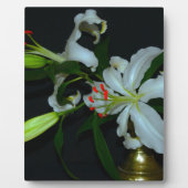 Sammlung irischer Muster und Blume Fotoplatte (Vorderseite)