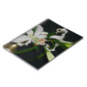 Sammlung irischer Muster und Blume Notizblock (Linke Seite)