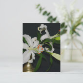 Sammlung irischer Muster und Blume Postkarte (Stehend Vorderseite)