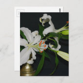 Sammlung irischer Muster und Blume Postkarte (Vorne/Hinten)