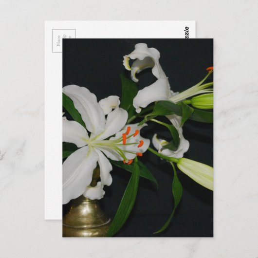 Sammlung irischer Muster und Blume Postkarte (Vorne/Hinten)