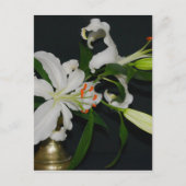 Sammlung irischer Muster und Blume Postkarte (Vorderseite)