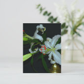 Sammlung irischer Muster und Blume Postkarte (Stehend Vorderseite)