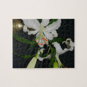 Sammlung irischer Muster und Blume Puzzle (Horizontal)