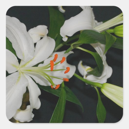 Sammlung irischer Muster und Blume Quadratischer Aufkleber (Vorderseite)