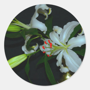 Sammlung irischer Muster und Blume Runder Aufkleber