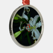 Sammlung irischer Muster und Blume Silbernes Ornament (Rechts)